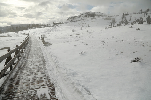 Boardwalk at Mammoth Hot Springs in Yellowstone in Winter