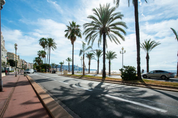 auto road of  promenade des anglais in nice town with fantastic palm trees  in summer! - nice looking imagens e fotografias de stock