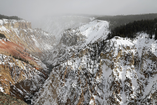 Winter Landscape in the Grand Canyon of Yellowstone National Park