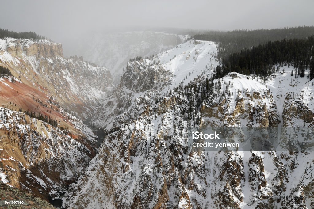 The Grand Canyon of the Yellowstone  in Winter Winter Landscape in the Grand Canyon of Yellowstone National Park Beauty In Nature Stock Photo