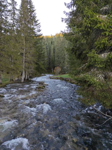 istock Along the river, Source of Doubs, Mouthe, Doubs, France 1441998185