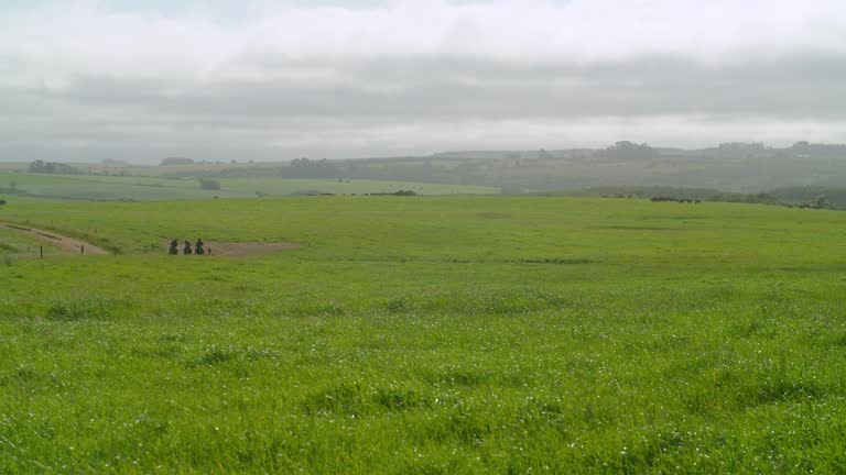 Work on the farm