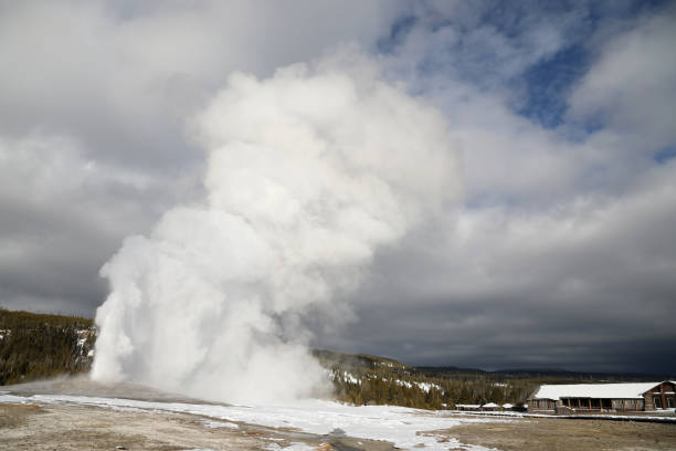 istock Old Faithful Geyser in Yellowstone 1442001446