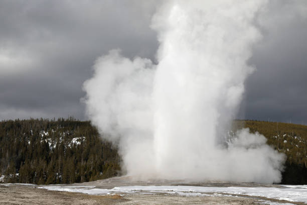 istock Old Faithful Geyser in Yellowstone 1442001452