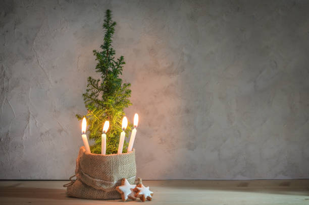 istock Alternative second Advent wreath, four candle lit with a flame on a small conifer plant as Christmas tree symbol, large copy space 1442001535