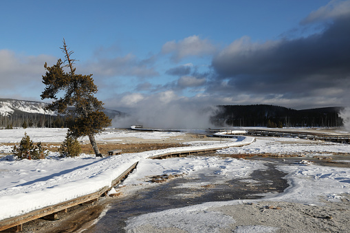 Winter Landscape in Black Sand Basin in Yellowstone National Park