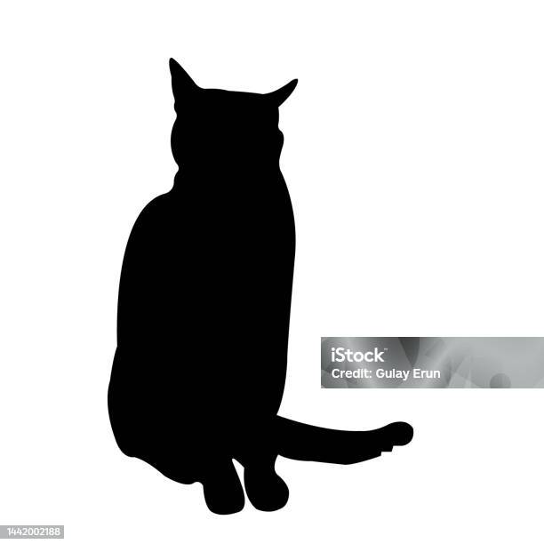 Cat Animal Kitten Black Icon Graphic by stembastudio · Creative Fabrica