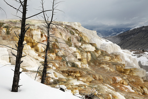 Terraces at Mammoth Hot Springs in Yellowstone in Winter