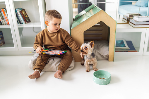 Boy sitting on pillow on the floor, drawing something in his notebook. Little dog coming out from dog house and sitting just next to him