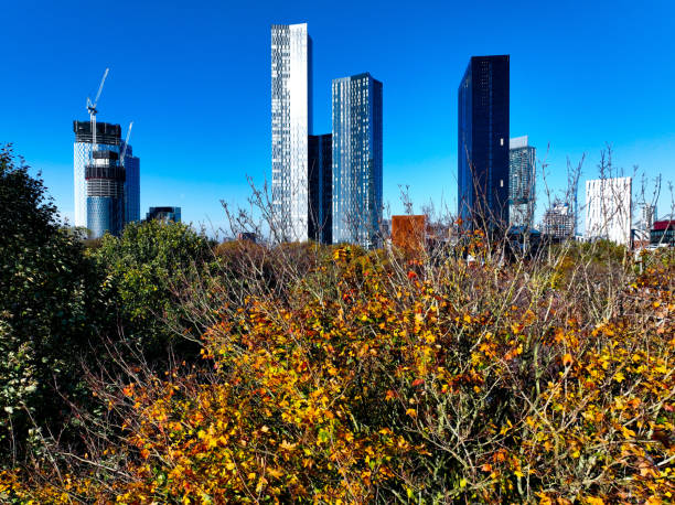istock Above the tree line in Manchester City Cente 1442004019