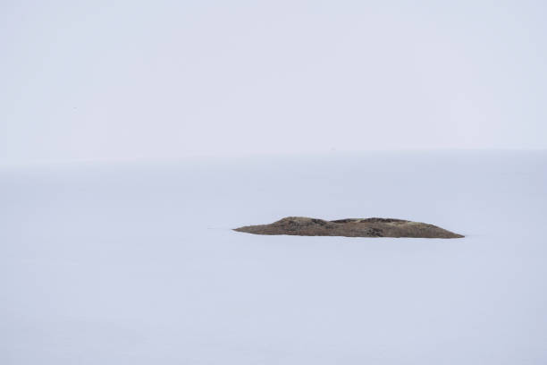 istock white snow with a big brown stone in the middle 1442009083
