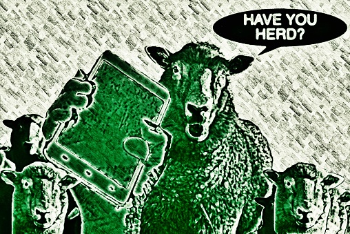 Herd of sheep asking if you have herd in a speech bubble with a mobile phone held up in the foreground in a chalkboard drawing. This is for a concept for learning about herd behaviour and the manipulation of herds by mobile propaganda.