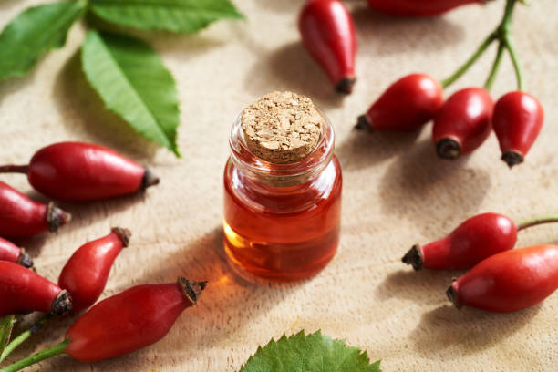 istock A bottle of red rosehip seed oil with fresh rose hips 1442010802