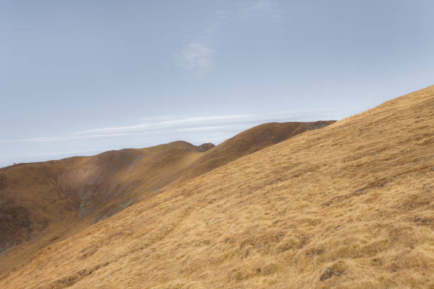 Mountain wilderness - Western Cape, South Africa