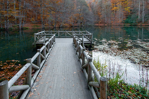 Young Woman in Autumn in Seven Lakes (Yedigöller) National Park