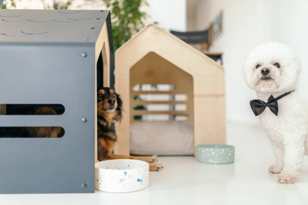 Snoopy Dog House for Dogs