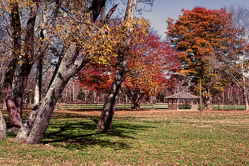Allaire Park in Howell New Jersey if the fall. There is a gazebo among trees with colorful fall foliage.