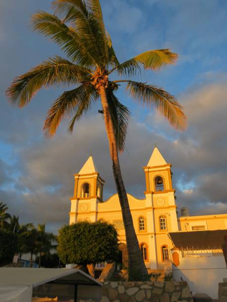 iglesia y palmera al amanecer - town san jose del cabo mexico color image fotografías e imágenes de stock