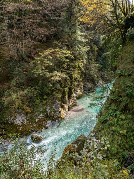 istock Tomin Gorges, Slovenia 1442018809