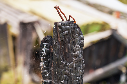 Black burnt log with rusty bent nails of a house burned by fire. Wood coal and ash texture
