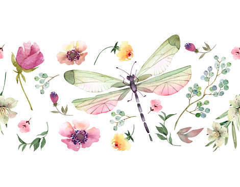 seamless border with floral botanical decor and dragonfly, watercolor illustration.