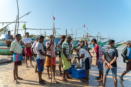 Galle, Sri Lanka - November 15, 2019: on the shore, near the Hikkaduwa fish market, fishermen are weighing their fresh tuna catch.