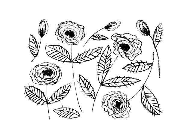 ilustrações, clipart, desenhos animados e ícones de rosas em caules com coleção vetorial de folhas. - wedding black and white weddings rose