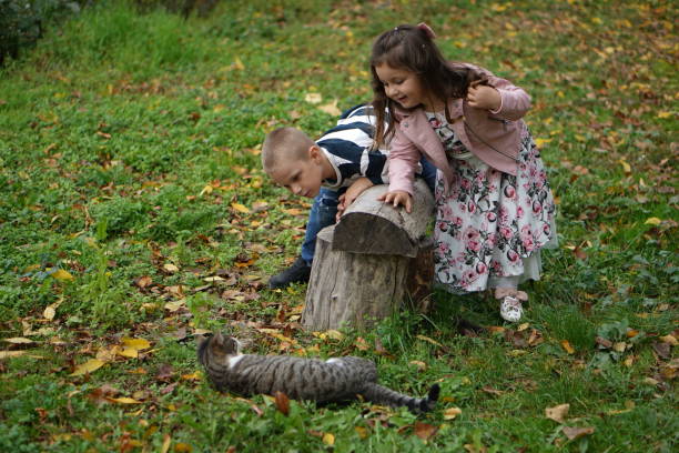 istock Children are playing with a cat 1442025174