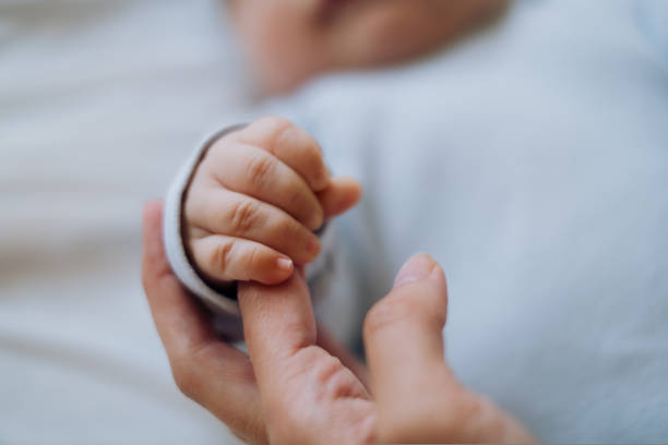 istock baby's small hand holding mother's hand 1442025549