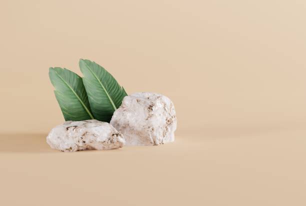 istock Granite stones on a yellow background, leaf shadow and green plants. 1442028089