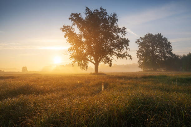 istock Autumn scenic landscape 1442028287