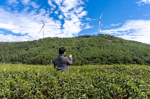 Green plantations on sunny day, A male technician works under wind power