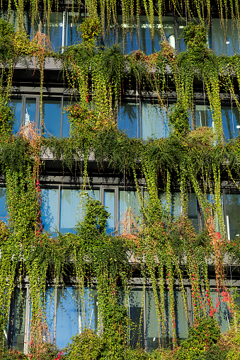Green facade help reduce the temperature of a building and mitigation of the heat island effect, acknowledged for remediation of poor air quality and provide an additional layer of insulation.