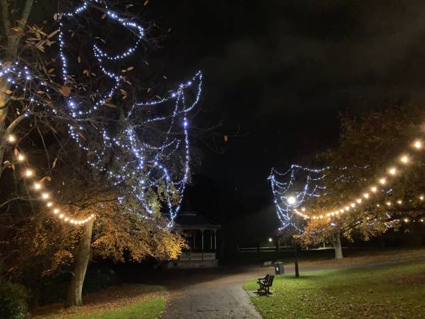 istock Strings of tree lights at night illuminating a park bench and bandstand 1442036161