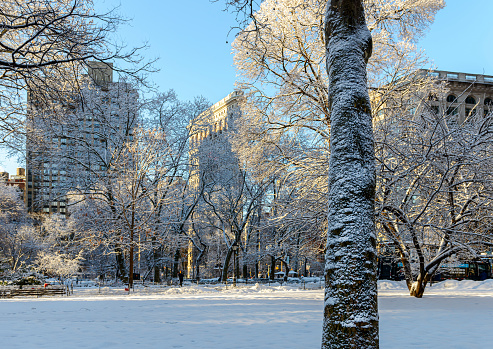 A snowy morning at Madison Square Park and Flatiron Building seen on the background. Midtown Manhattan, NY, USA