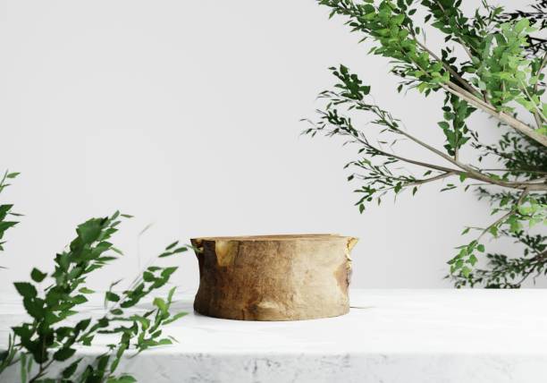 istock Wood stump tree podium on white table background. Natural and cosmetics concept. 3D illustration rendering 1442039306