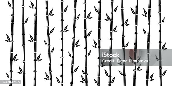 istock Bamboo background with stalk, branch and leaves. Bamboo grove backdrop design. Vector illustration isolated in flat style on white background 1442039609