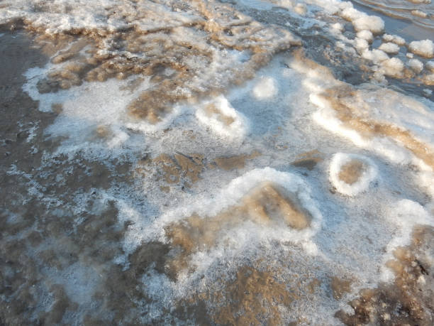 istock natural texture background frozen snow on the seashore, copy space. 1442039885