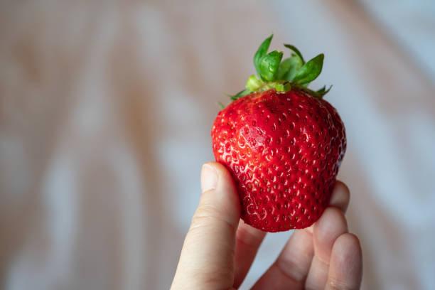 istock Fresh and juicy red strawberries. 1442045262