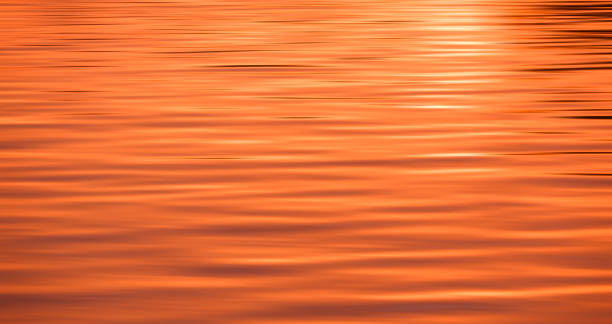 Free Stock Photo of Ripples on water surface at sunset | Download Free ...