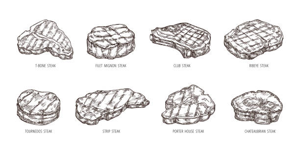 illustrations, cliparts, dessins animés et icônes de croquis steak. aliment de bœuf dessiné à la main, gravure de lanières de viande barbecue, club et steaks de faux-filet - filet mignon illustrations