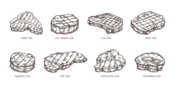эскиз стейка. рисованная от руки говядина, гравировка барбекю мясная полоска, клуб и рибай стейки векторный набор - filet mignon illustrations stock illustrations