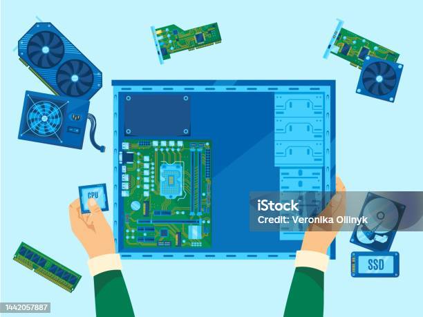Computer Assembly Pc Building Hardware Repair Or Cpu Upgrade Personal ...