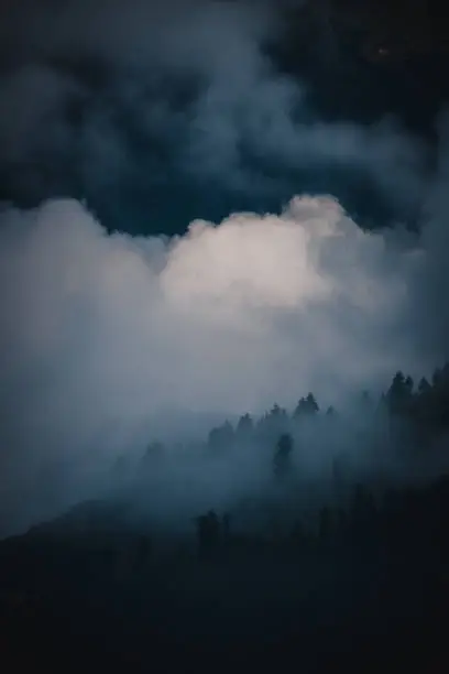 Photo of Moody dark shot of monsoon fog engulfing pine trees on mountain slopes