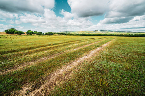 A muddy road on the grassland