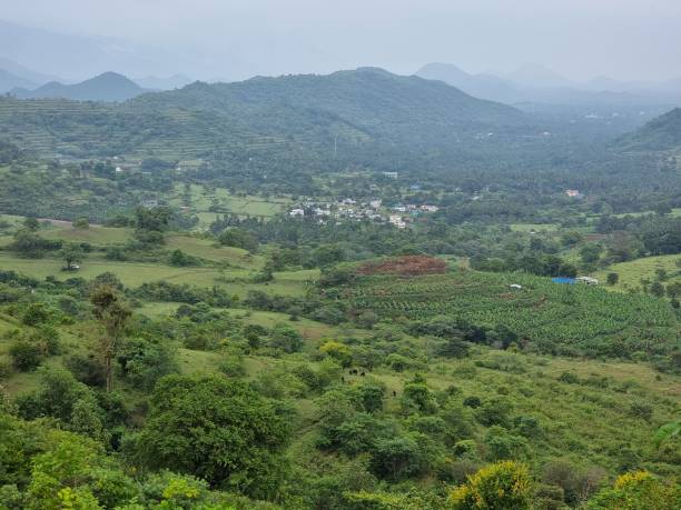 istock Beautiful mountain valley in kerala, India. 1442069063