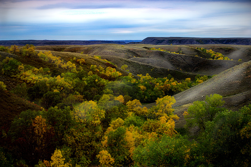 Taken between Cornoach and Bengough in Saskatchewan right at the beginning of the fall season, as the colours start to change