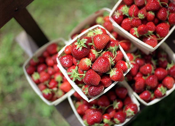 istock Farmer's Market 144207875