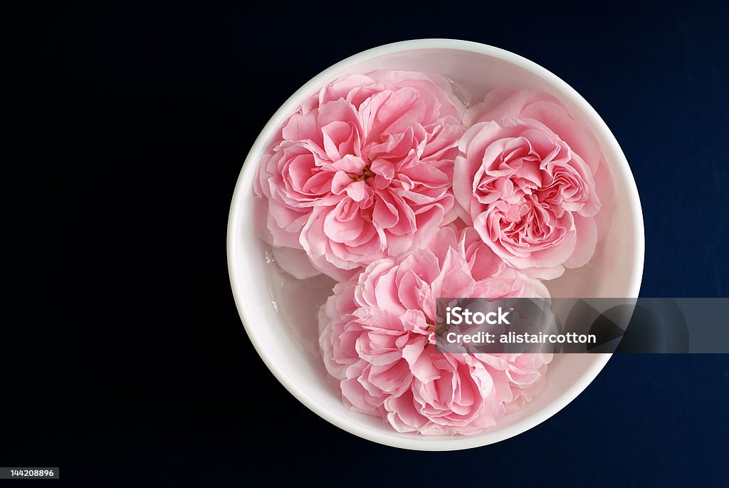 Aroma pink roses Three pink aromatherapy roses floating in water and bowl on dark blue Alternative Therapy Stock Photo