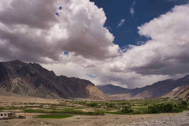 Farms crops agriculture fields in Ladakh region stock photo
